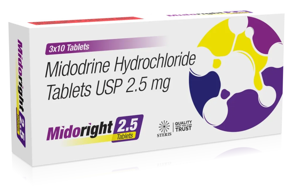 MIDORIGHT 2.5.DJKZRZLq.webp