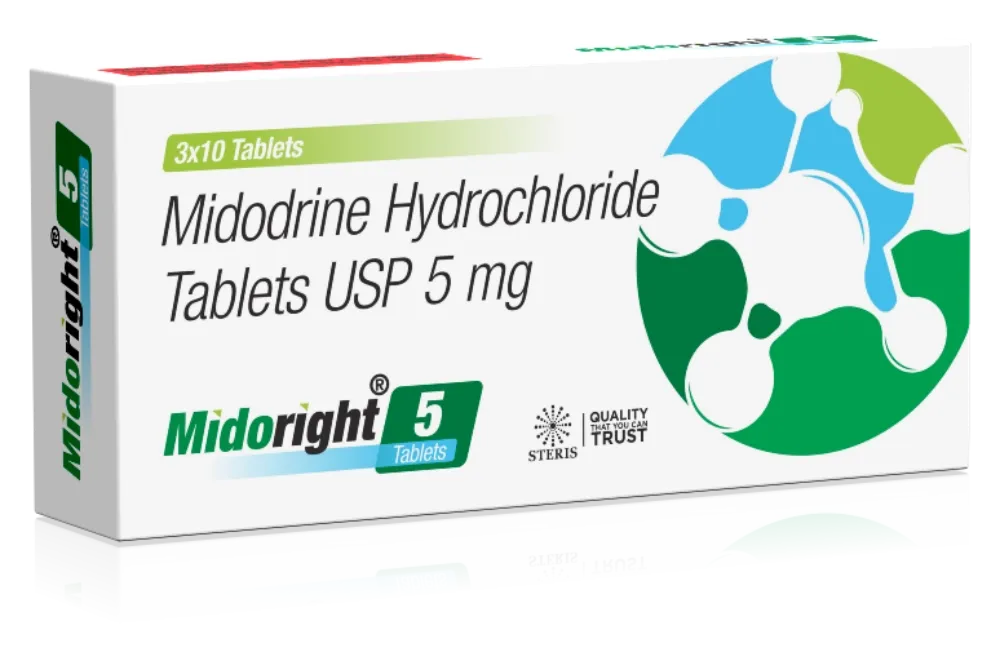 MIDORIGHT 5.DqrKRLF6.webp